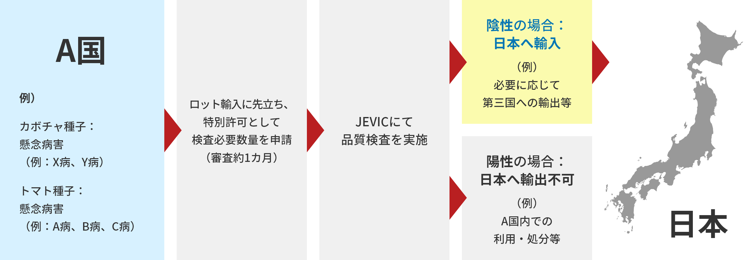 輸入特別許可検査の流れ